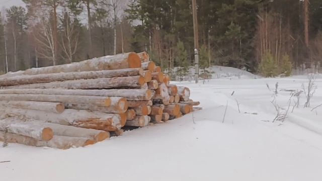 Чищу тропинку, привезли дрова#наулицегололёд# смотреть онлайн