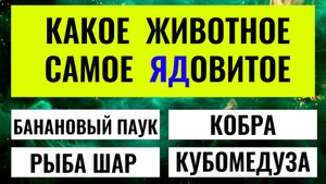 Умный ответит на 15, а ГЕНИЙ на 20 вопросов. Кто же вы? интересный тест на эрудицию