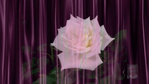 Барбара Стрейзанд   Woman In Love Женщина в любви