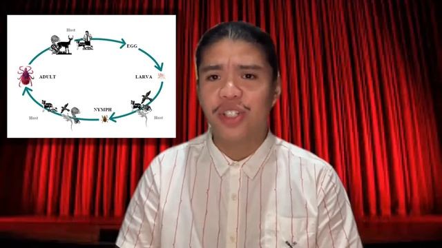 #TAMTalk: Soft Ticks (family Argasidae) | Mattew Abad & Rei France Marwel Atencio