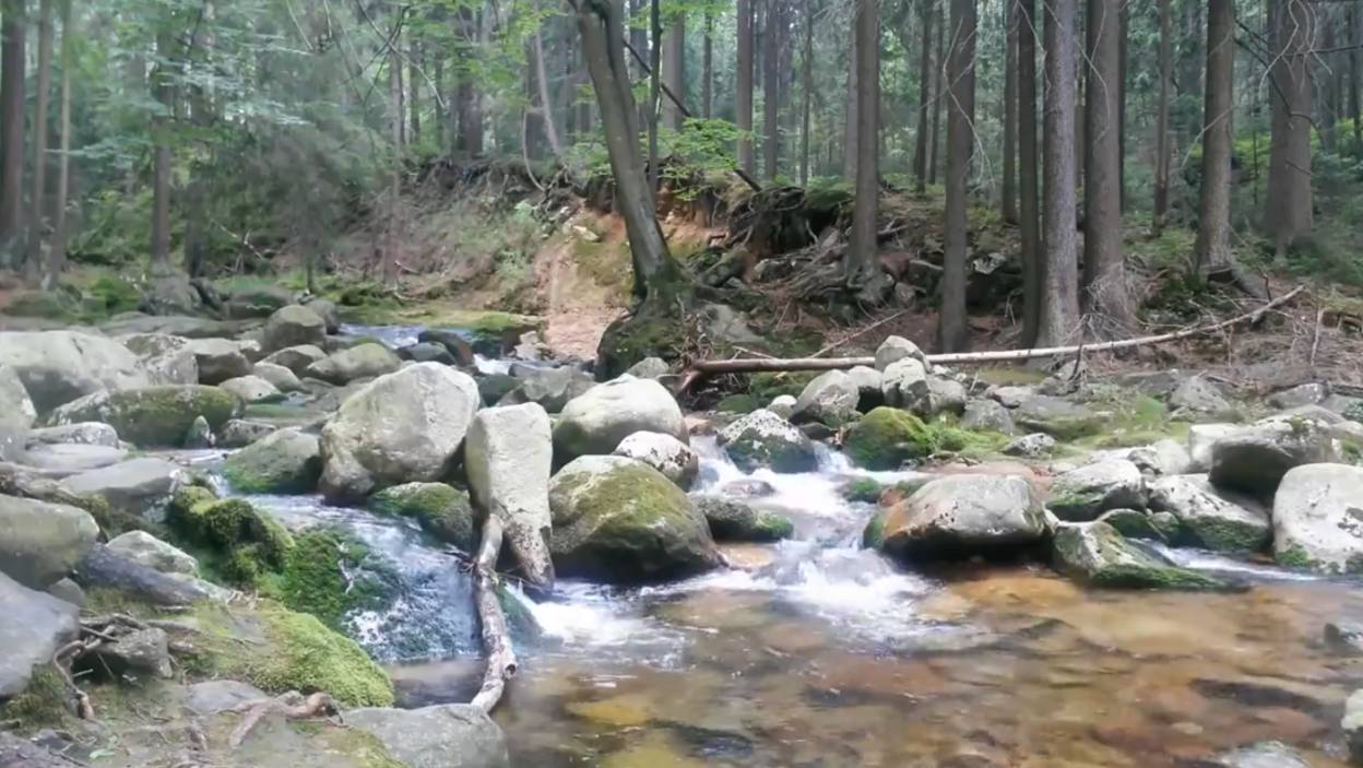 успокаивающая музыка релаксирующая музыка для сна