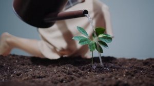 7944614-uhd_4096_2160_25fps