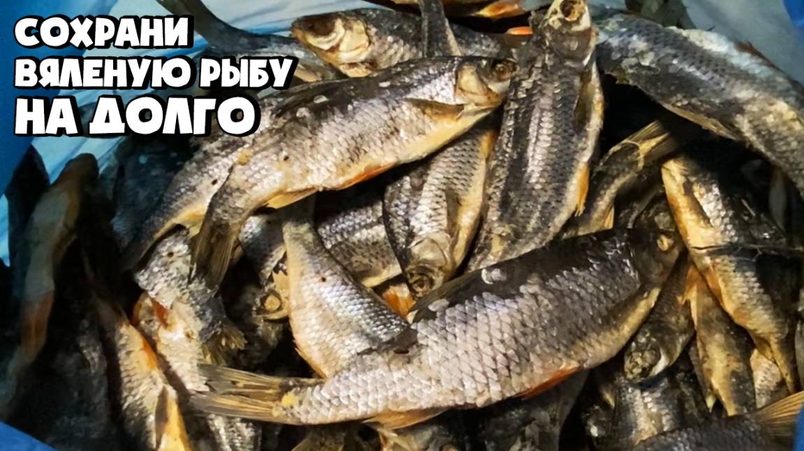 КАК СОХРАНИТЬ ВЯЛЕНУЮ РЫБУ НА ДОЛГО В БОЛЬШОМ КОЛИЧЕСТВЕ
