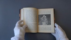 Шульц Г. Фотография с природы (Антикварная книга 1913г.)