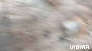 МТЗ 82 ремонт ручника,убираю болтанку