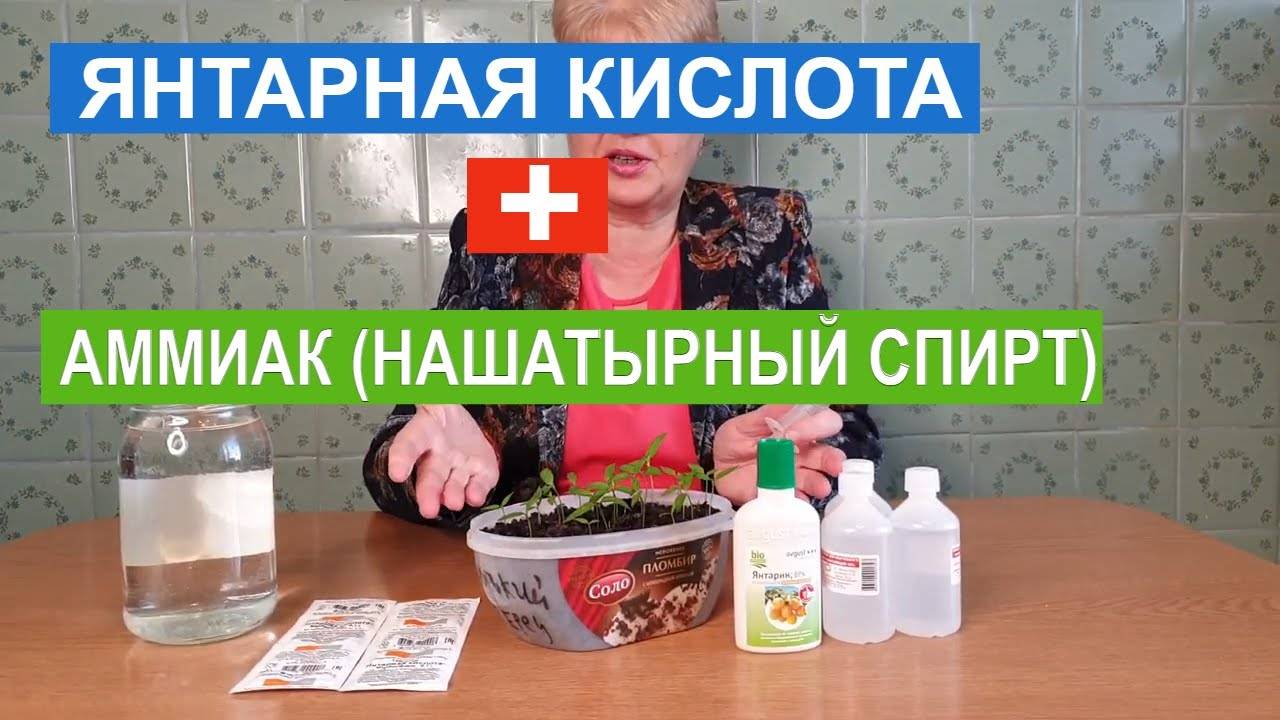 БОМБА ДЛЯ РАССАДЫ. ПОДКОРМИТЕ ЭТИМ ВАШУ РАССАДУ!