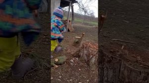 эх деревенская жизнь 😂
