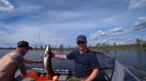 ОТЛИЧНОЕ НАЧАЛО ПОЕЗДКИ! ВСТАЛИ НА СТАРОМ КАРЕЛЬСКОМ ХУТОРЕ! ЖАРИМ ОКУНЕЙ! ВЗЯЛИ ПЕРВЫХ КУМЖ!