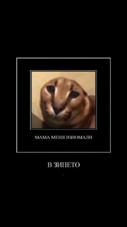 мем про шлёпу