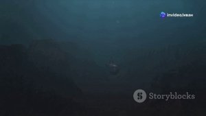 Подводная лодка Симбад. Красоты и ужас красного моря.