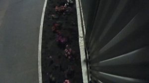 Залез на телевышку. Новости от мэра