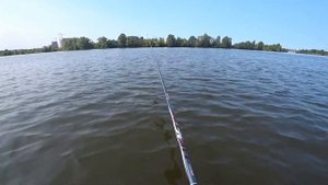 Летняя мормышка. Удочка COLMIC HEKTOR 8 m. Первый тест на рыбе.