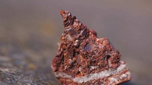 В Раде раскрыли новые детали сделки США с Украиной по ресурсам