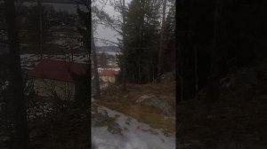 гуляю с другом в базе