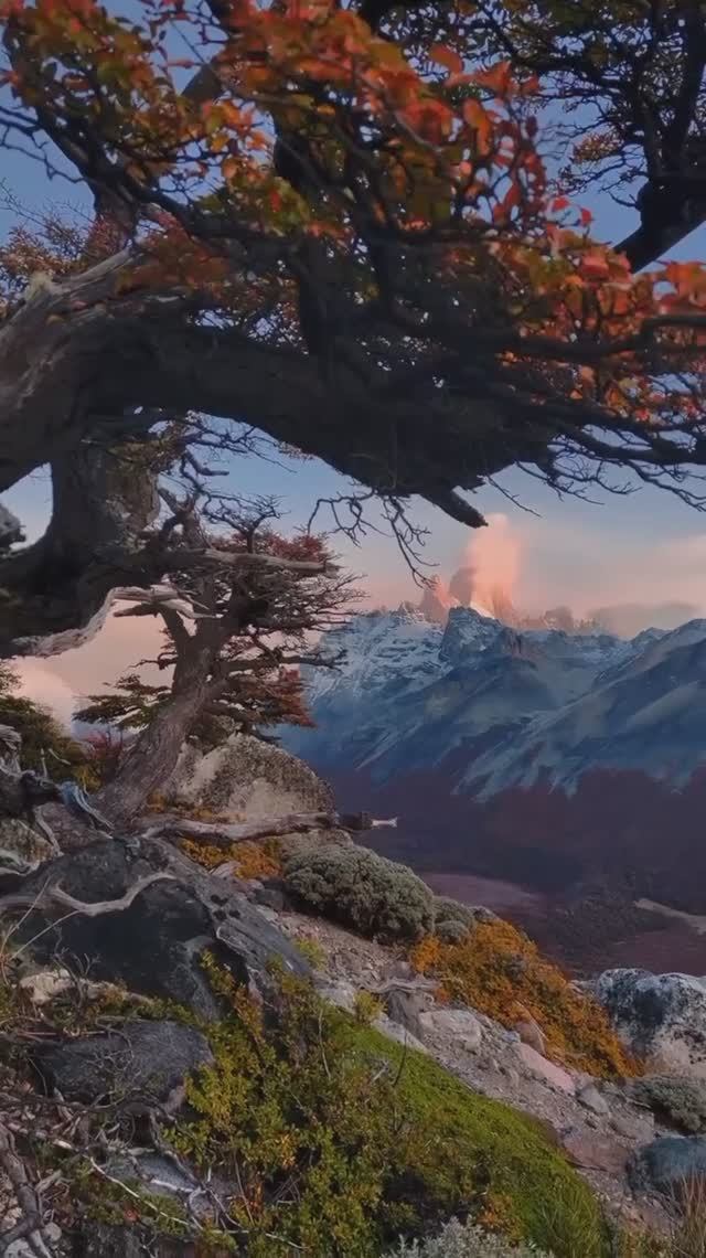 Аргентина 🇦🇷 Argentina смотреть онлайн