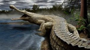 Sarcosuchus Sound Effects 🐊 🔊