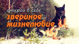 Часть 1. Движение. Глава 2 "Закон радости".