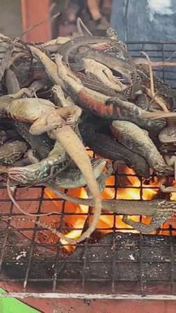 Деревенский шеф-повар готовит ящериц по вкусным рецептам