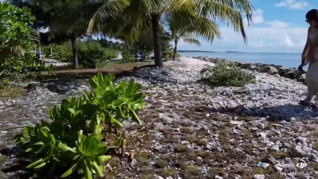 2019/10/13 Maldives Mercure Hotel Local Island Honeymoon By Mavic Air смотреть онлайн