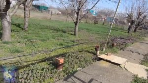 Обзор виноградника 29.03.25г