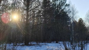 ГОЛОС ПРОРОКА в прямом эфире!