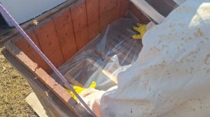 пасека у дома в подмосковье