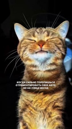 Весенний вайб