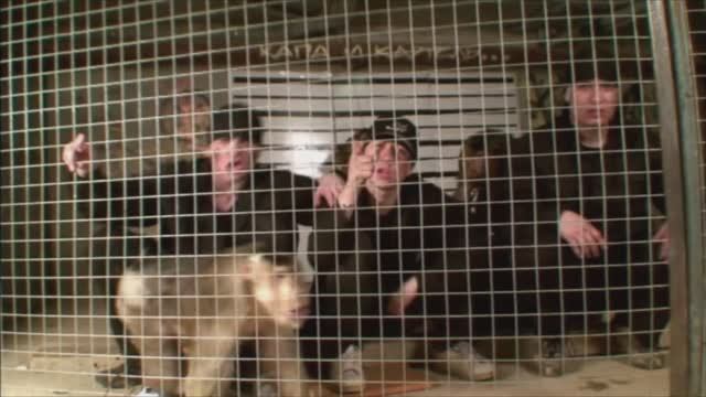 КАПА и Картель - Капа и Картель (Official Video)