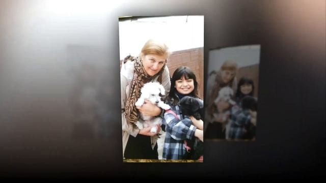 Ariana cumple de 15 pantalla jetset foto y video смотреть онлайн