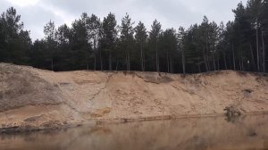 ДОХОД  НА  ОРГАНИЧЕСКОЙ ФАСОЛИ  С 1 ГЕКТАРА