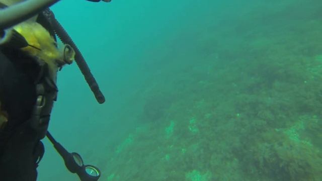 Дайвинг в Крыму смотреть онлайн