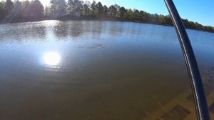 Летняя мормышка. Гребной канал. 4 мая 2024. Плотва, лещ, карась.