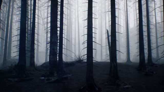 Здесь часто наблюдаются НЛО Медведицкая гряда, Волгоградская область смотреть онлайн