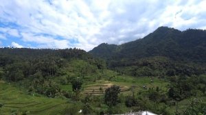 8. Амед -часть 1