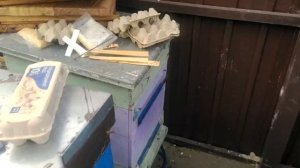 29_03_25 Пасека Нижний Новгород
Переходим в Плейлисты и смотрим все видео о Пчеловодстве