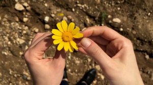 854004-hd_1920_1080_30fps