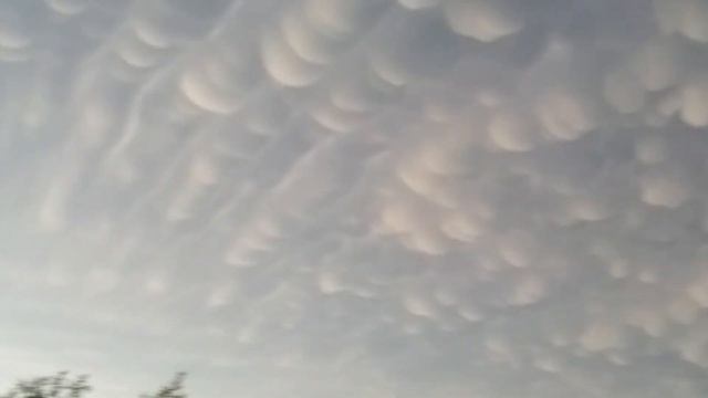 Случаи в Природе Один на Миллион смотреть онлайн