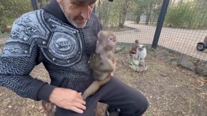 Люська РВАНУЛА к малышам со всех лап и стала всех обнимать, но то, что она потом вытворяла с Томом.