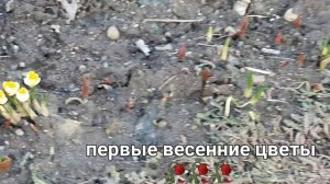 Весна идёт