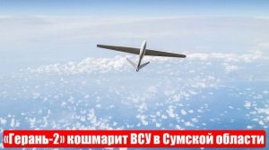 ВС РФ ударили по пункту дислокации ВСУ в Сумской области. Новости от СМИ, МО