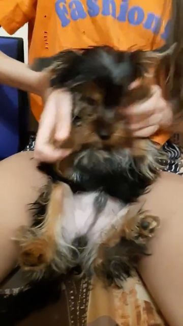 13 мая 2020 г. смотреть онлайн