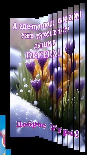 23 февраля. Доброе утречко! 💐 #пожеланиедлядрузей #доброеутро #видеооткрытка