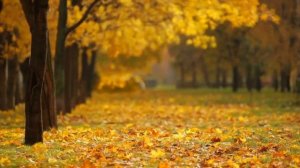 Музыка для Медитаций , Звуки природы,  Успокаивающая музыка для сна