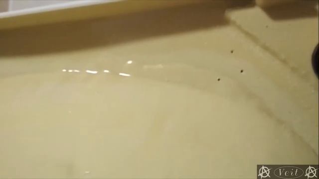 Один день ИТР 19 ванна смотреть онлайн