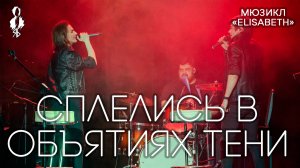 Александр Казьмин, Ярослав Баярунас - Сплелись в объятьях тени (мюзикл «Elisabeth»)