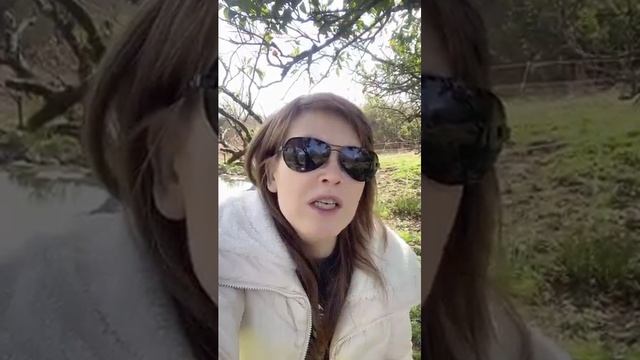Американцы не ходят в Макдональдс, т.к. нет денег!