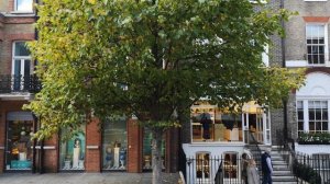 3105022-uhd_3840_2160_30fps