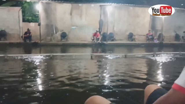 TEST LANGSUNG!!! Salah Satu Umpan Bawal Paling Gacor untuk mancing malam смотреть онлайн