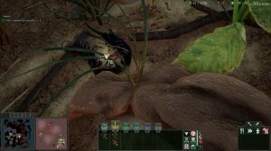 Empires of the undergrowth №1.