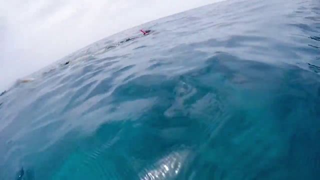 Boat Day смотреть онлайн